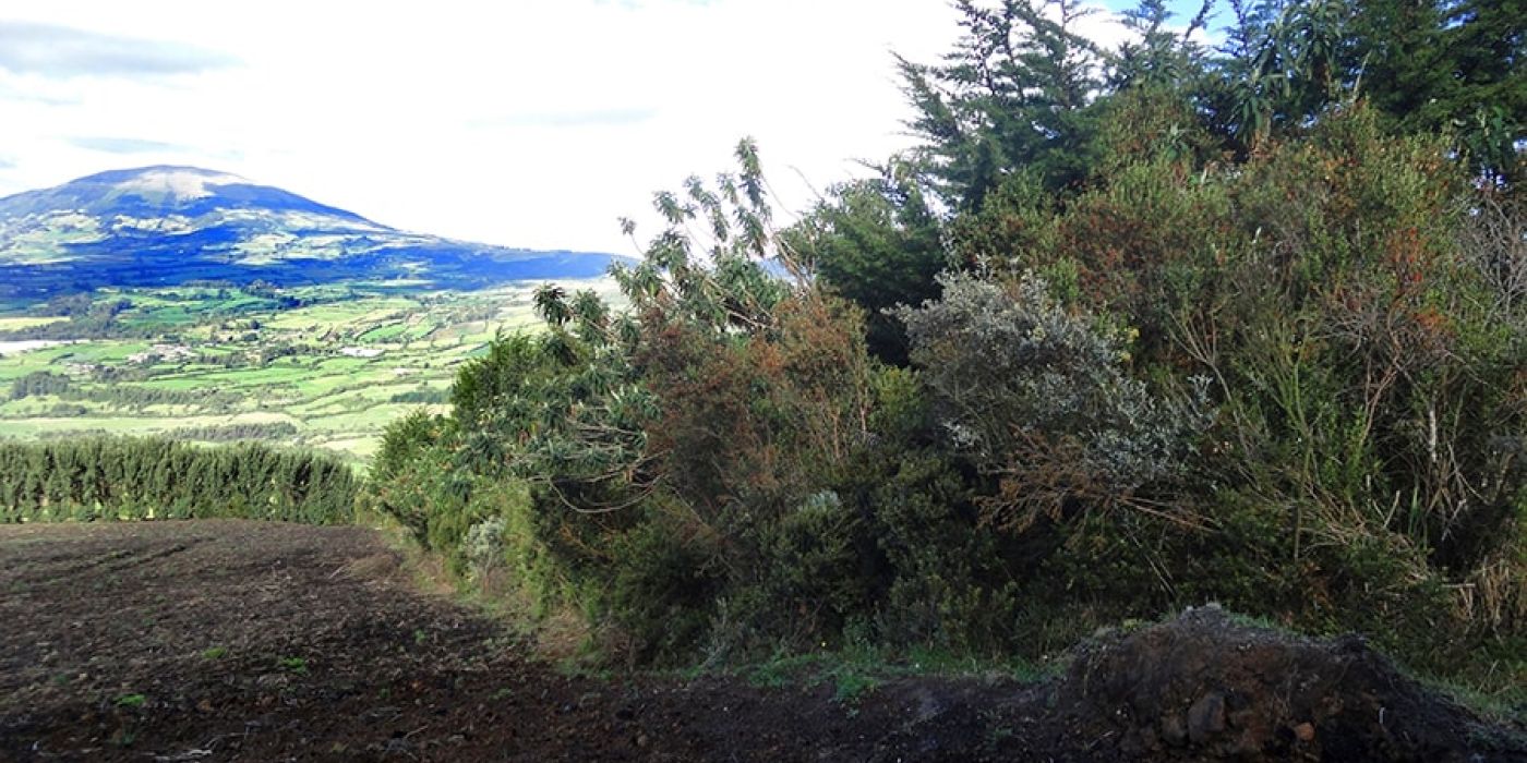 Affective farmer-soil relations and regenerative agricultural practices